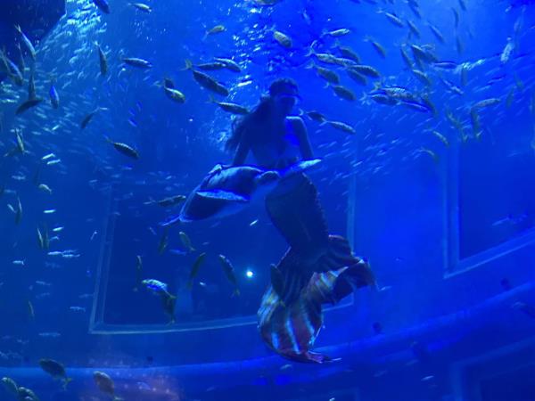 包头海洋世界 包头海洋世界