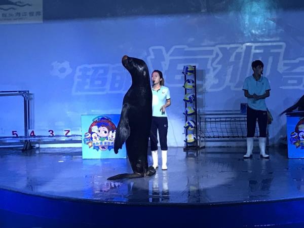 包头海洋世界 包头海洋世界