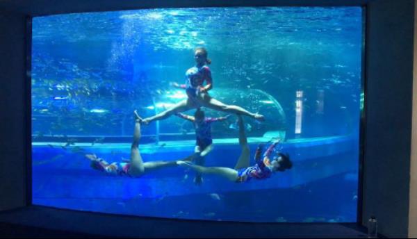 包头海洋世界 包头海洋世界