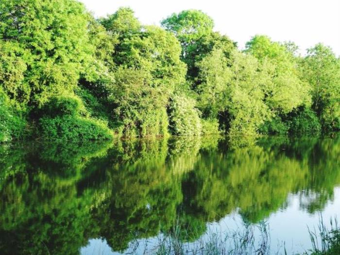 海南七仙岭温泉国家森林公园 海南七仙岭温泉国家森林公园