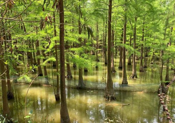虞山景区 虞山景区