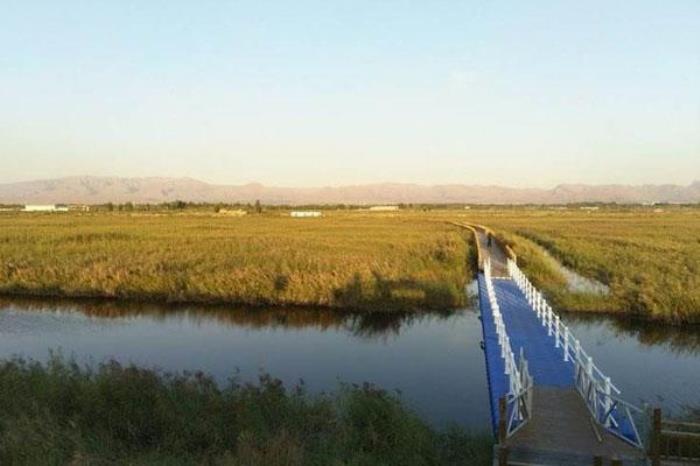 阳光田宇国际酒庄