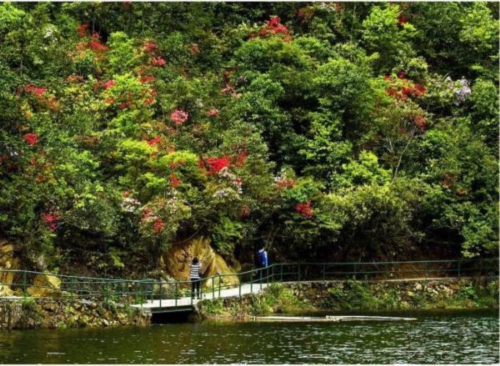 徽州大峡谷 徽州大峡谷