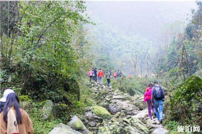 农夫山泉峨眉山工业