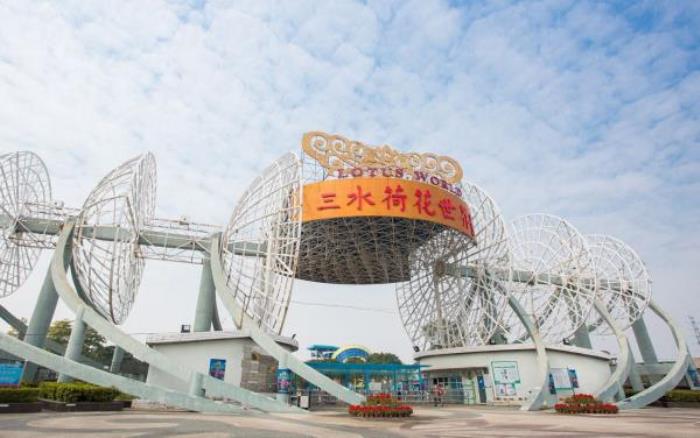 荷花奇境(三水荷花世界)