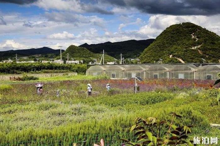 蓬莱仙界·白云休闲农业旅游区