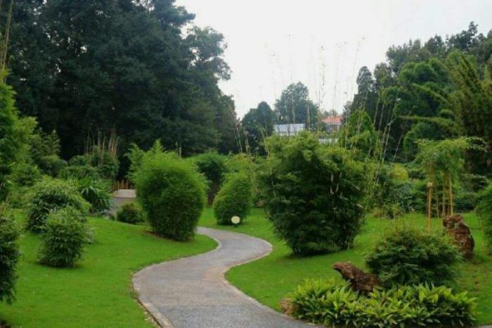 昆明植物园
