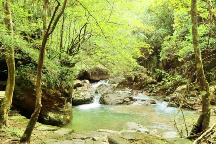 丽水-千佛山景区