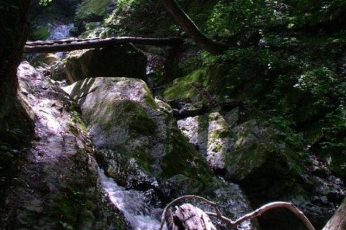 五龙洞国家森林公园