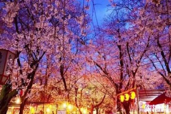 京都小众樱花旅游景点推荐 京都小众樱花旅游景点推荐