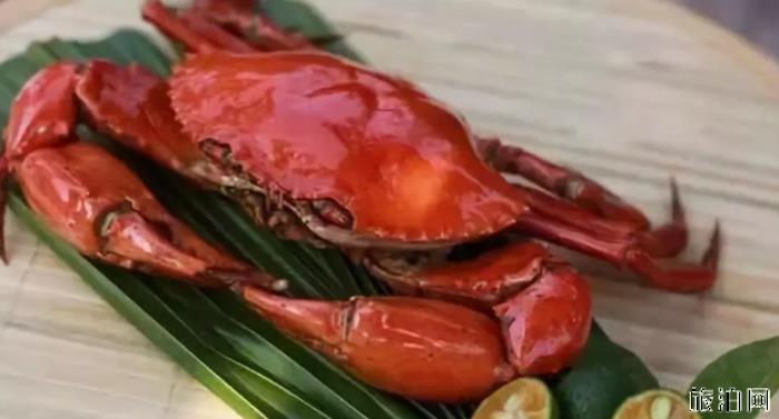 海南的特色美食有哪些呢 海南的特色美食有哪些呢