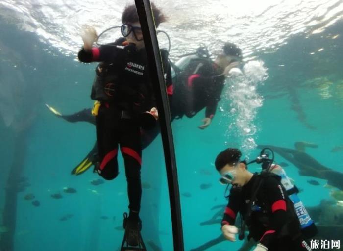 珠海长隆海洋国王有什么好玩的项目推荐 珠海长隆海洋国王有什么好玩的项目推荐