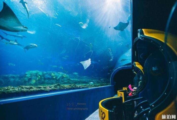 珠海长隆海洋国王有什么好玩的项目推荐 珠海长隆海洋国王有什么好玩的项目推荐