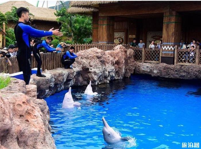 珠海长隆海洋国王有什么好玩的项目推荐 珠海长隆海洋国王有什么好玩的项目推荐