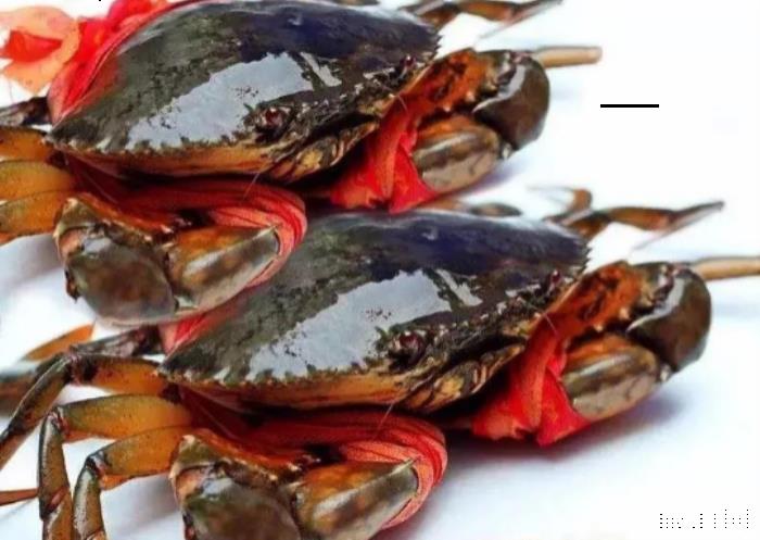 三门青蟹什么时候上市 2019三门青蟹多少钱一斤 三门青蟹什么时候上市 2019三门青蟹多少钱一斤