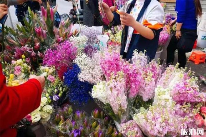 江门迎春花市在哪里 附2020迎春花市信息 江门迎春花市在哪里 附2020迎春花市信息