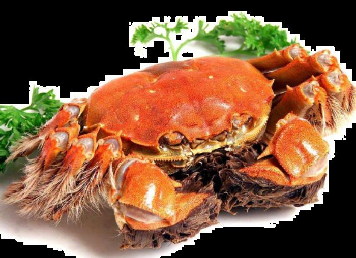 大闸蟹吃公的还是母的 大闸蟹公母都有蟹黄吗 大闸蟹吃公的还是母的 大闸蟹公母都有蟹黄吗