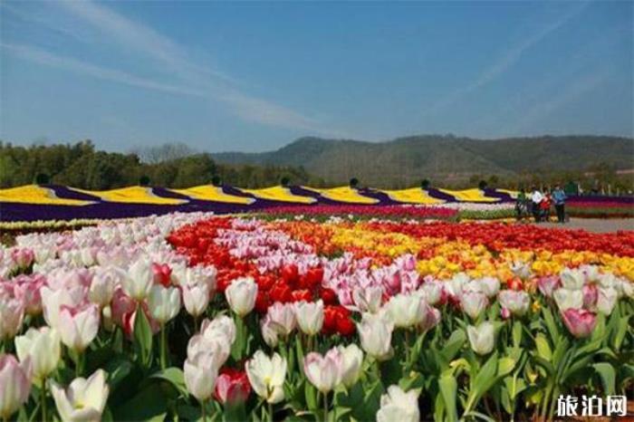 2020常州花谷奇缘春节庙会1月24日开启 时间+庙会内容