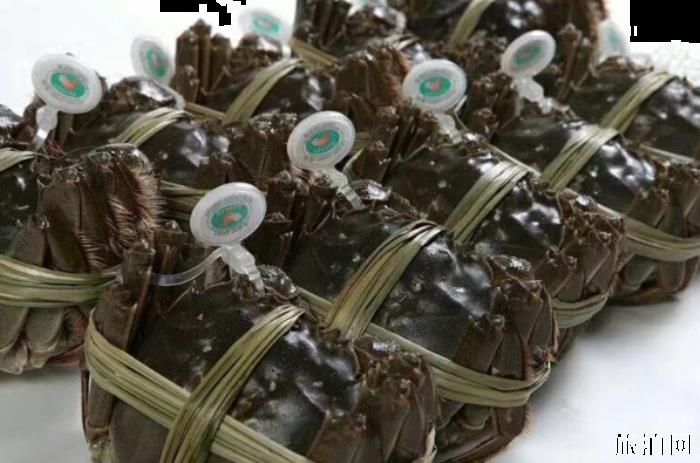 阳澄湖大闸蟹什么时候最好吃 阳澄湖大闸蟹怎么识别真假 阳澄湖大闸蟹什么时候最好吃 阳澄湖大闸蟹怎么识别真假