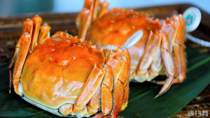 阳澄湖大闸蟹什么时候最好吃 阳澄湖大闸蟹怎么识别真假 阳澄湖大闸蟹什么时候最好吃 阳澄湖大闸蟹怎么识别真假