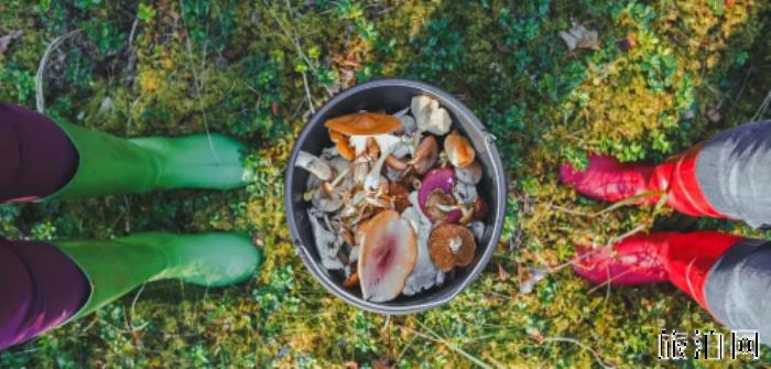 来拉脱维亚有哪些特色美食 拉脱维亚有哪些美食不能错过