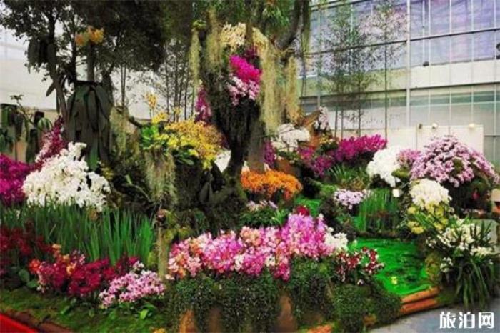 武汉花市场在哪里批发 附2020武汉春节花市时间+地点 武汉花市场在哪里批发 附2020武汉春节花市时间+地点