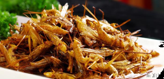 云南有哪些奇葩美食