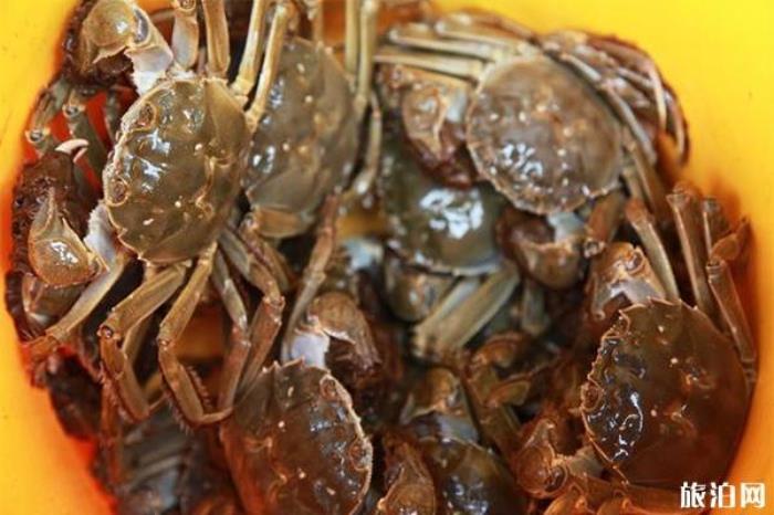 太湖大闸蟹几月份吃最好 附太湖大闸蟹2019年价格表 太湖大闸蟹几月份吃最好 附太湖大闸蟹2019年价格表