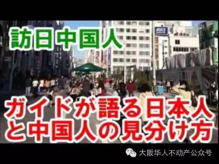  日本私人导游这活不容易，没有哪个当过导游的人会 