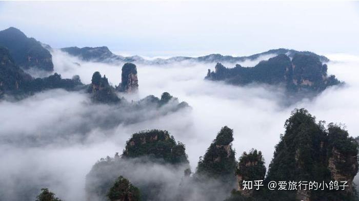  张家界请一个导游，不强制自费景点，不进购物店 