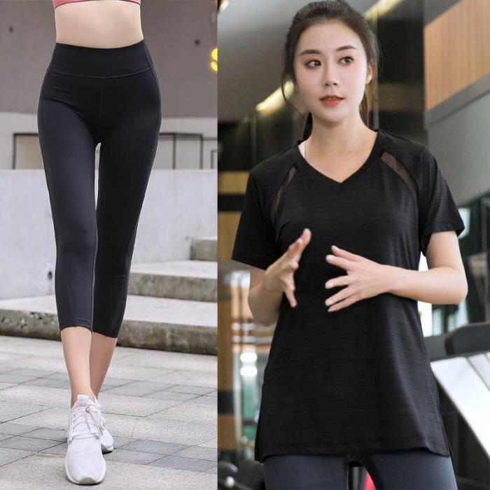 肥模(tess) 肥模(tess)