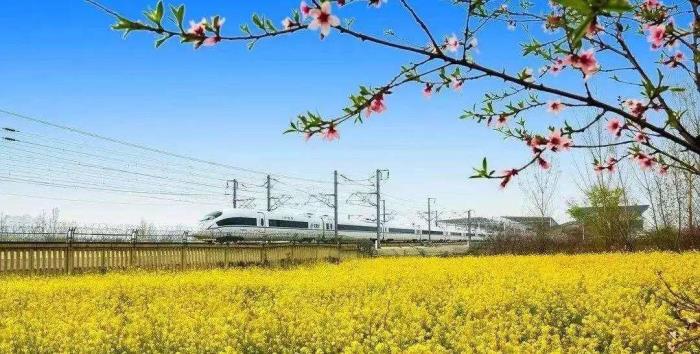 高铁游(高铁游神农架攻略) 高铁游(高铁游神农架攻略)