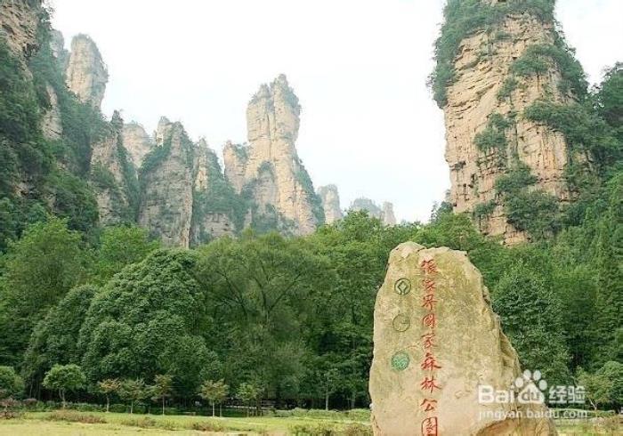 自驾旅游攻略(自驾旅游攻略app排行榜)