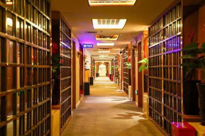 【孙婷】做商务伴游要先交钱吗,明星商务分享自由职业访梦 【孙婷】做商务伴游要先交钱吗,明星商务分享自由职业访梦