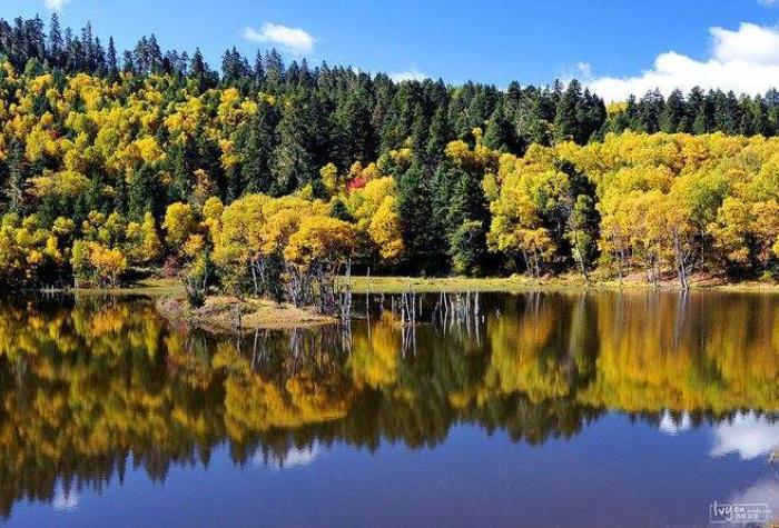 自助旅游(自助旅游是属于什么旅游方式)