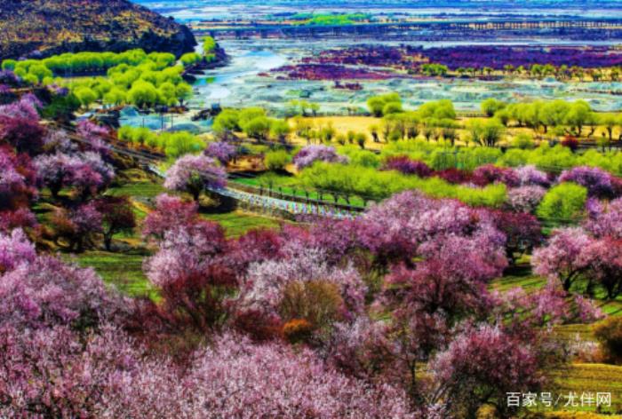 伴游中国带你去梦里水乡(梦里水乡旅游开发有限公司) 伴游中国带你去梦里水乡(梦里水乡旅游开发有限公司)