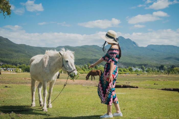 自由行(自由行和跟团游哪个好)