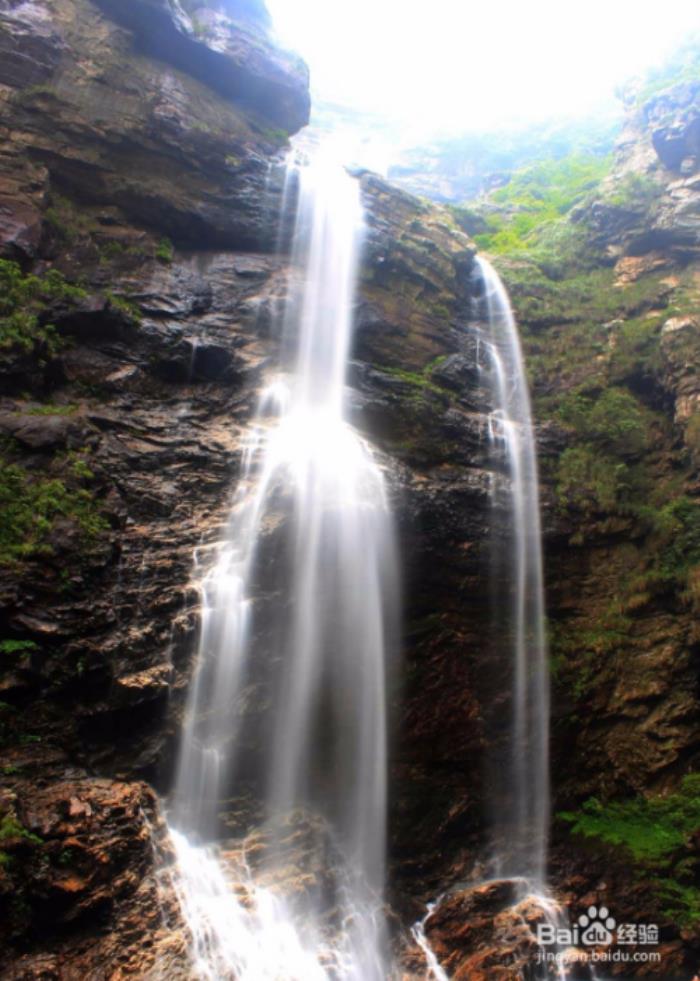日游(日游是什么意思)