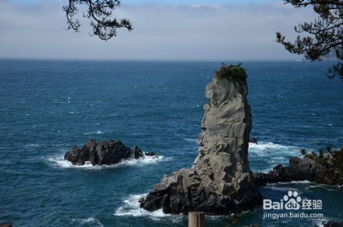 旅游全攻略(上海旅游全攻略)