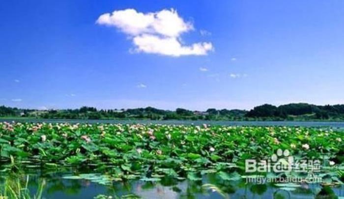 南京周边游(南京周边游玩景点大全)