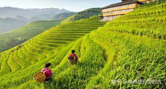  找桂林知名地接导游需注意什么桂林阳朔游玩，看到好多网友在网上推荐 