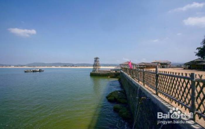 日游(日游是什么意思)