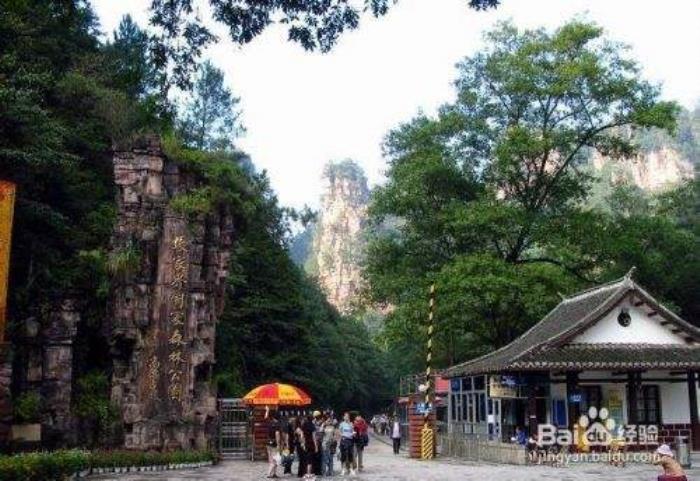 自助游(自助游是什么意思)