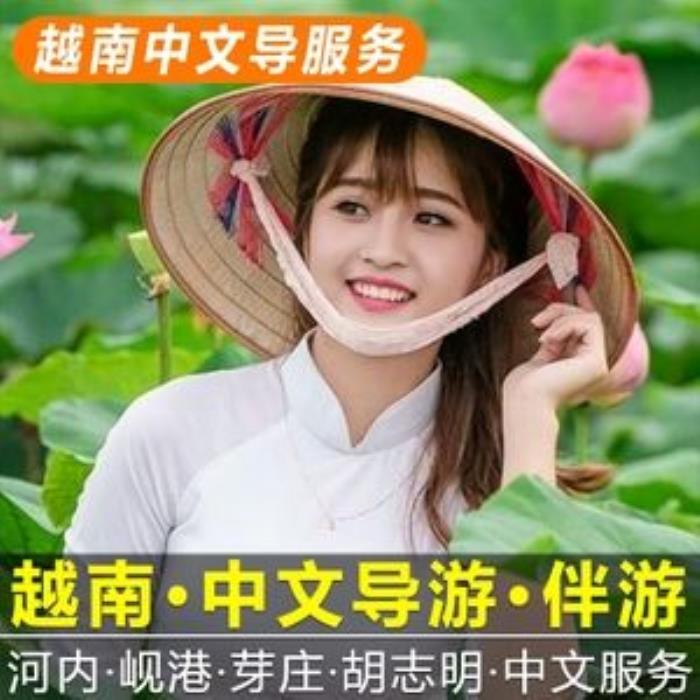 日本关东伴游中国(日本关西旅行)