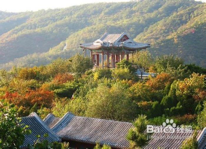 旅行攻略(北京旅行攻略英语)