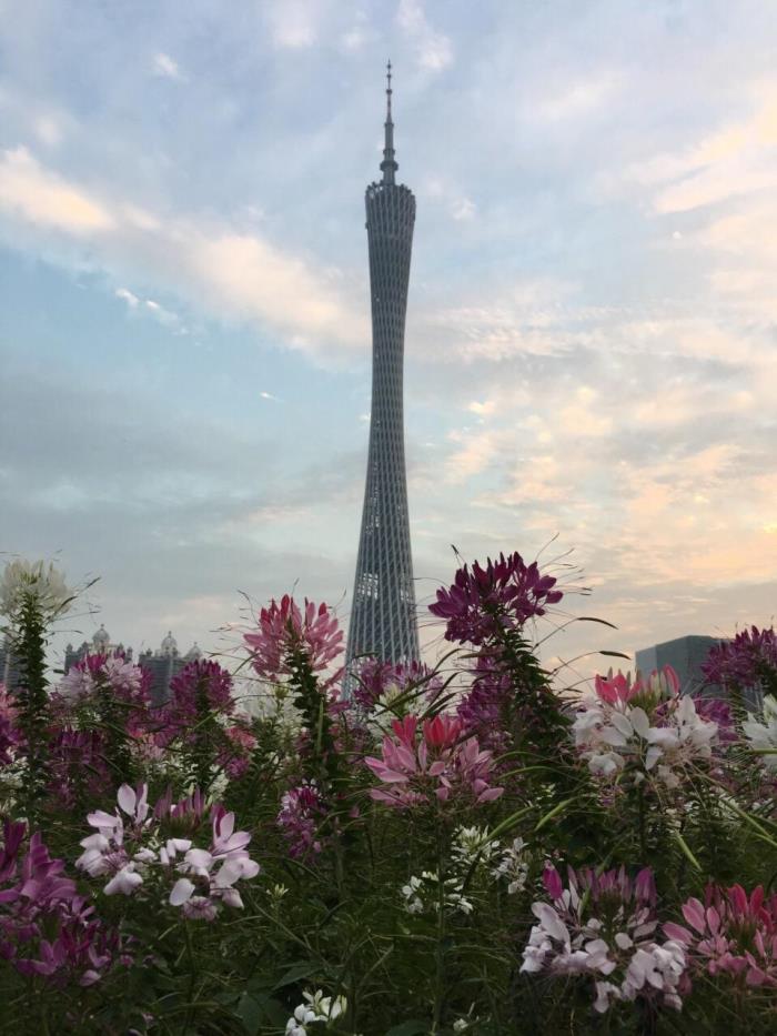 广州旅游攻略(杭州到广州旅游攻略)