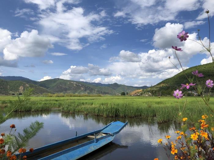 旅游游记(旅游游记怎么写)