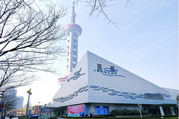 最详细的上海一日游攻略