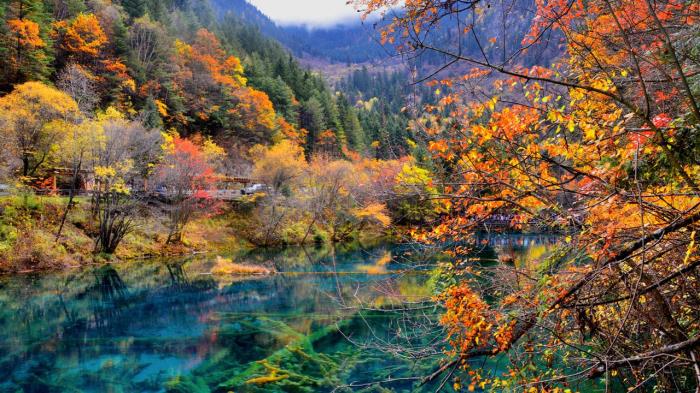 四川旅游攻略(四川旅游攻略十五日游)