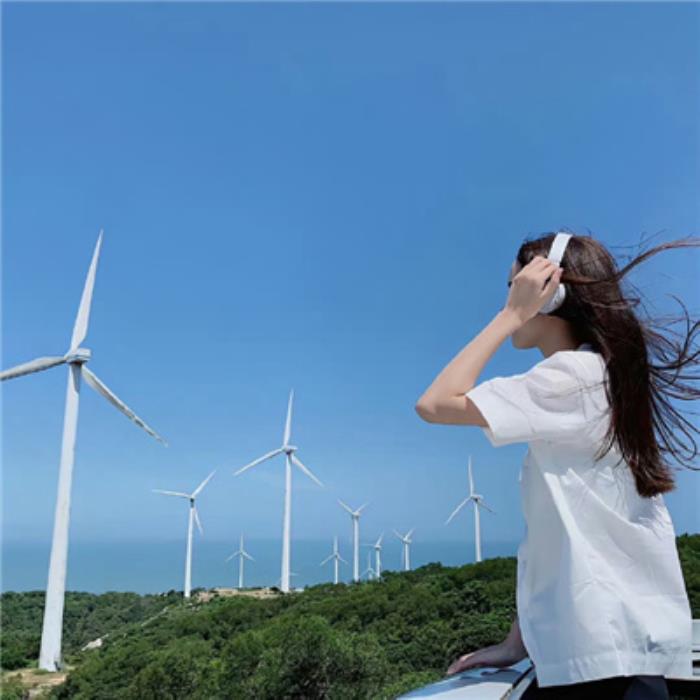  商务伴游享受个性化定制的商务之旅